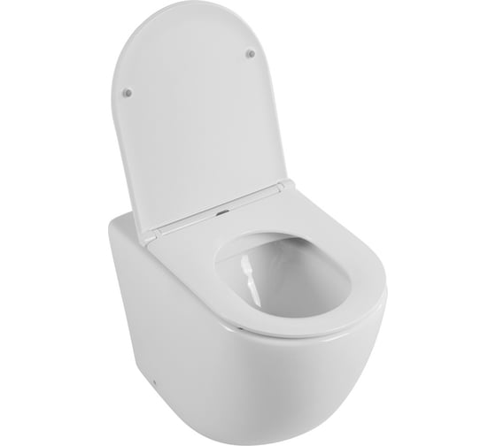Унитаз приставной безободковый с быстросъемным сидением с микролифтом BelBagno SFERA-R BB2141CBR/BB870SC