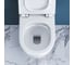 Унитаз приставной безободковый с быстросъемным сидением с микролифтом BelBagno SFERA-R BB2141CBR/BB2111SC 12