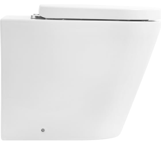 Унитаз приставной безободковый с быстросъемным сидением с микролифтом BelBagno FLAY-R BB1003CBR/BB865SC