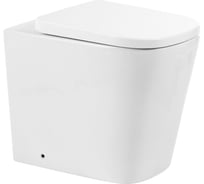 Унитаз приставной безободковый с быстросъемным сидением с микролифтом BelBagno ALBANO BB120CBR/BB120SC