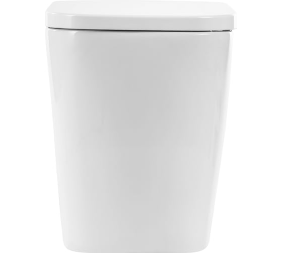 Унитаз приставной безободковый с быстросъемным сидением с микролифтом BelBagno ALBANO BB120CBR/BB120SC