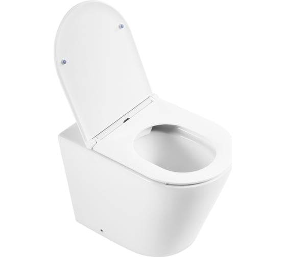 Унитаз приставной безободковый с быстросъемным сидением с микролифтом BelBagno FLAY-R BB1003CBR/BB870SC