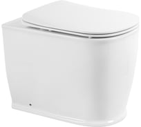 Унитаз приставной безободковый с быстросъемным сидением с микролифтом BelBagno PRADO BB10150CB/BB10150SC