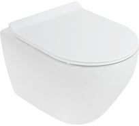 Унитаз подвесной безободковый Cezares STYLUS быстросъемное сидение с функцией Soft Close CZR-513-TH-R/CZR-2011-SC