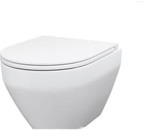 Подвесной унитаз AM.PM Spirit с сиденьем микролифт C701738SC