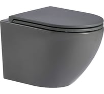 Унитаз подвесной Weltwasser WW MERZBACH 041 MT-GR 10000008256
