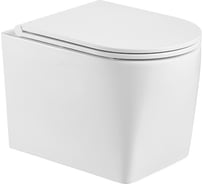 Унитаз подвесной Weltwasser WW NESENBACH 004 GL-WT 10000008265