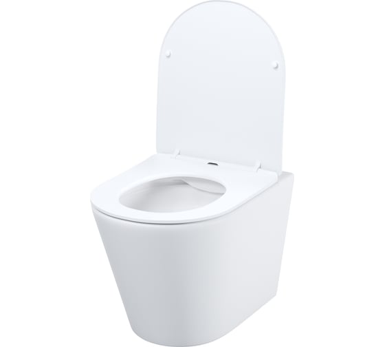 Подвесной унитаз IDDIS Calipso безободковый CALRNSEi25