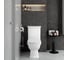 Комплект: напольный унитаз Vitra Serenada с функцией биде 9722B003-7205 5