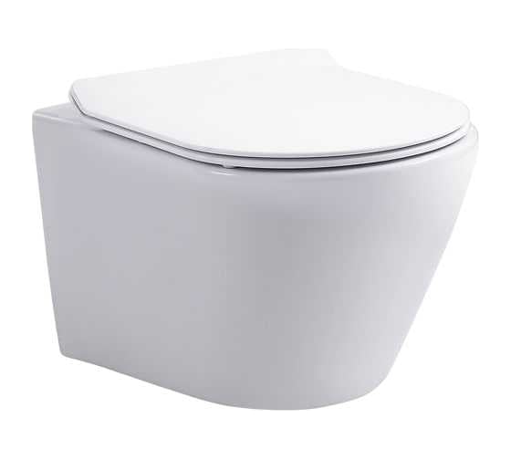 Подвесной унитаз с сидением Aquanet ATAGO W Short Tornado Soft Close-SLIMSEAT 00332173