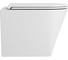 Подвесной безободковый унитаз OWL 1975 Curve Cirkel-H с сиденьем DP микролифт OWLT190802 2