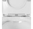 Подвесной безободковый унитаз OWL 1975 Curve Cirkel-H с сиденьем DP микролифт OWLT190802 5