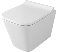 Подвесной безободковый унитаз OWL 1975 Vatter Ruta-H mini с сиденьем DP микролифт OWLT190403