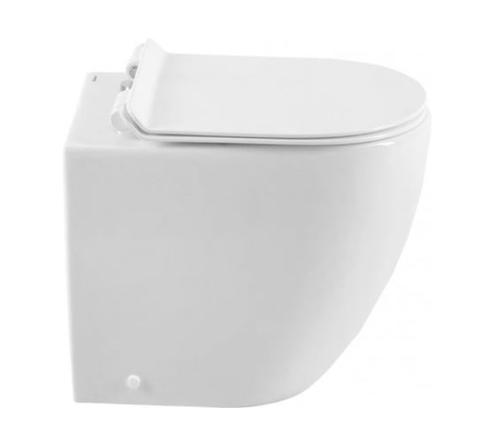 Напольный унитаз Aquanet CETUS-F с сидением, приставной, с Rimless 00203344