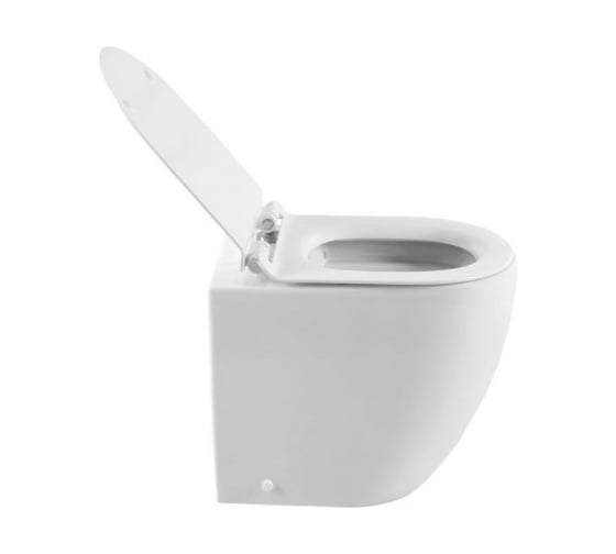 Напольный унитаз Aquanet CETUS-F с сидением, приставной, с Rimless 00203344
