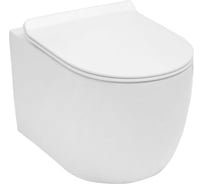 Подвесной унитаз Aquanet CETUS-W с сидением Soft Close SLIMSEAT, с Rimless 00211908