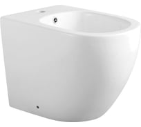 Напольное биде Aquanet Cetus 2.0 B1 00243550