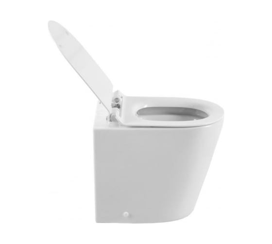 Напольный унитаз Aquanet Atago-F с сидением, приставной, с Rimless 00203352