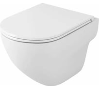 Унитаз подвесной безободковый OWL 1975 OWL Wave Cirkel-H с сиденьем DP микролифт, система смыва торнадо TOWLT190801