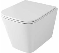 Унитаз подвесной безободковый OWL 1975 OWL Vatter Ruta-H mini с сиденьем DP микролифт, SLIM, система смыва торнадо TOWLT190403S