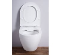 Унитаз-подвесной Esbano AMAPOLA-N DP белый ESUPAMAPNDPW