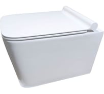 Подвесной унитаз Cerutti SPA MAIELLA Aria 500х350х320, безободковый, сиденье дюропласт 7402