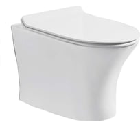 Подвесной унитаз Cerutti SPA BERNINA Aria 480х340х350, безободковый 7191