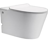 Подвесной унитаз Cerutti SPA ARGENTERA Aria Pulsе 600х350х410, импульсный смыв, рама в комплекте 7279