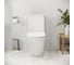 Унитаз Grossman Color 620*365*810 мм, белый матовый, напольный, безободковый, с тонкой крышкой, 2 места GR-4480MS 6