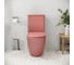 Унитаз напольный Grossman Color 620*365*810 мм, розовый матовый, безободковый, 2 места GR-4480PIMS 9