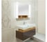 Раковина-столешница JACOB DELAFON TERRACE EXD9112-00 80х49 см, с подсветкой 00000033757 3