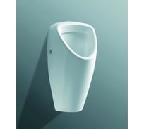 Писсуар Laufen CarpIno plus скрытый подвод воды 8.4206.1.000.000.1 00034687