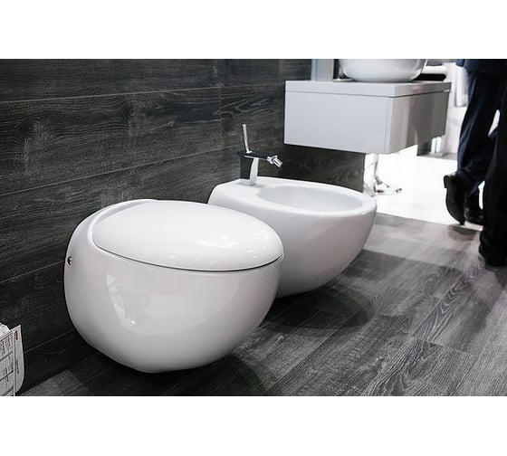 Подвесной унитаз Sanita Luxe Ringo с быстросъемным сиденьем-микролифт, дюропласт 00028332 16472628
