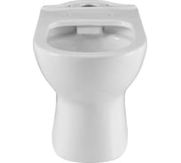 Чаша с сиденьем для унитаза напольного Aquanet Ray-C (Soft Close -SLIMSEAT) с Rimless (326011) 00326011