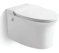 Унитаз подвесной Cerutti SPA Ceruttispa NAUTILUS Aria Pulse безободковый импульсивный смыв 10195