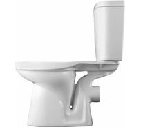 Унитаз-компакт Santek "Анимо" прям станд: 2-реж., дюро, soft close NEW 00026256 1WH302135