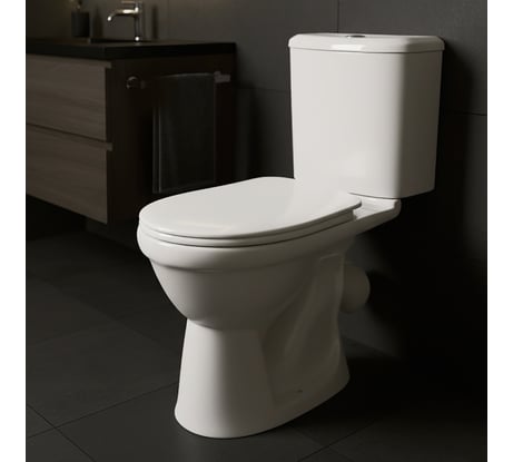 Унитаз-компакт Santek "Бореаль" антивсп. эконом. 1-реж полипроп 00039149 1WH301704