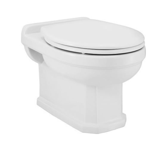 Подвесной унитаз Jaquar Queen's с сиденьем микролифт, белый 00065613 QNS-WHT-7951 1