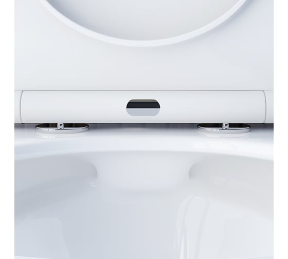 Подвесной унитаз Damixa Skyline безободковый, с сиденьем микролифт DX35C1700SC