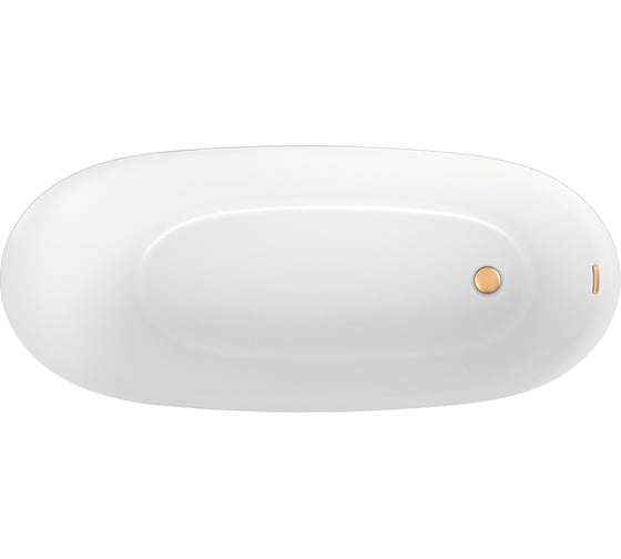 Отдельностоящая акриловая ванна Wellsee Panta Rei 168x73 см, в наборе 4 в 1 23720104R