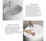 Напольная раковина отдельно стоящая Wellsee Coquillage, моноблок, матовый белый 232802000 5