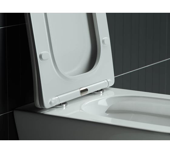 Подвесной унитаз Ceramicanova MONO Rimless, с крепежом, с сиденьем-крышкой с микролифтом CN1902