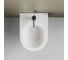 Подвесное биде Ceramicanova PLAY CN3002 3