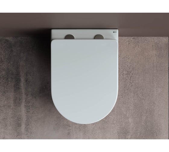 Подвесной унитаз Ceramicanova MIA Rimless с крепежом, с сиденьем-крышкой с микролифтом CN1805