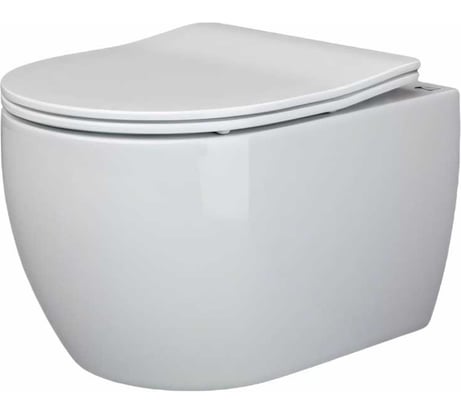 Подвесной унитаз Ceramicanova PLAY Rimless с крепежом, с сиденьем-крышкой с микролифтом CN3001