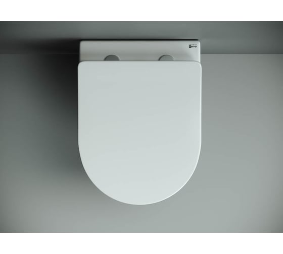 Подвесной унитаз Ceramicanova MONO Rimless с крепежом, с сиденьем-крышкой с микролифтом CN1905