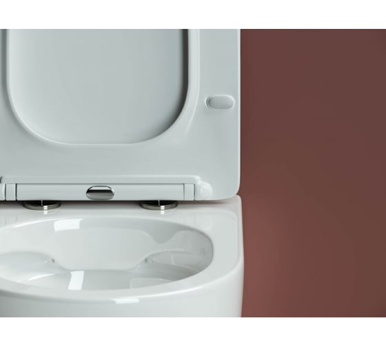 Подвесной унитаз Ceramicanova FORMA Rimless с крепежом, с сиденьем-крышкой с микролифтом CN3009
