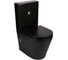 Унитаз-компакт Weltwasser WW SALZBACH 001 MT-BL 10000003765 1