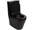 Унитаз-компакт Weltwasser WW SALZBACH 001 MT-BL 10000003765 2