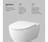 Подвесной унитаз AM.PM Awe Plus FlashClean C111700BWH 6